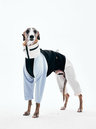 Dog Raincoats | KNOWZA