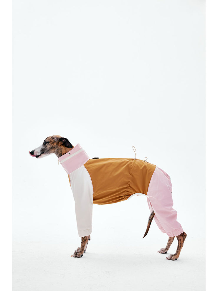 Dog Raincoats | KNOWZA