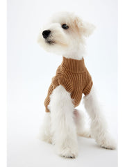 A white puppy wearing a camel-colored sweater