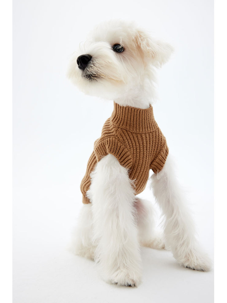 A white puppy wearing a camel-colored sweater