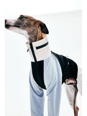 Dog Raincoats | KNOWZA