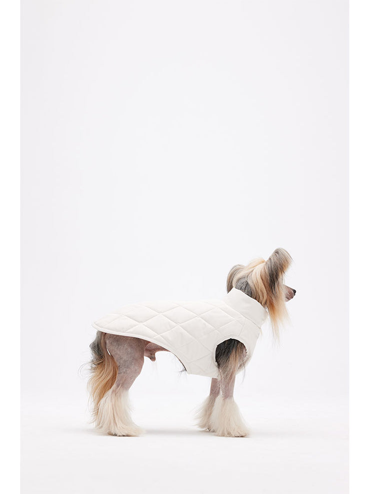 dog jackets