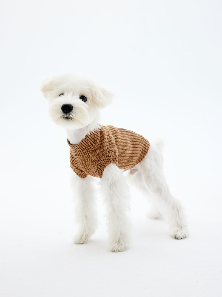 Dog Khaki Sweater