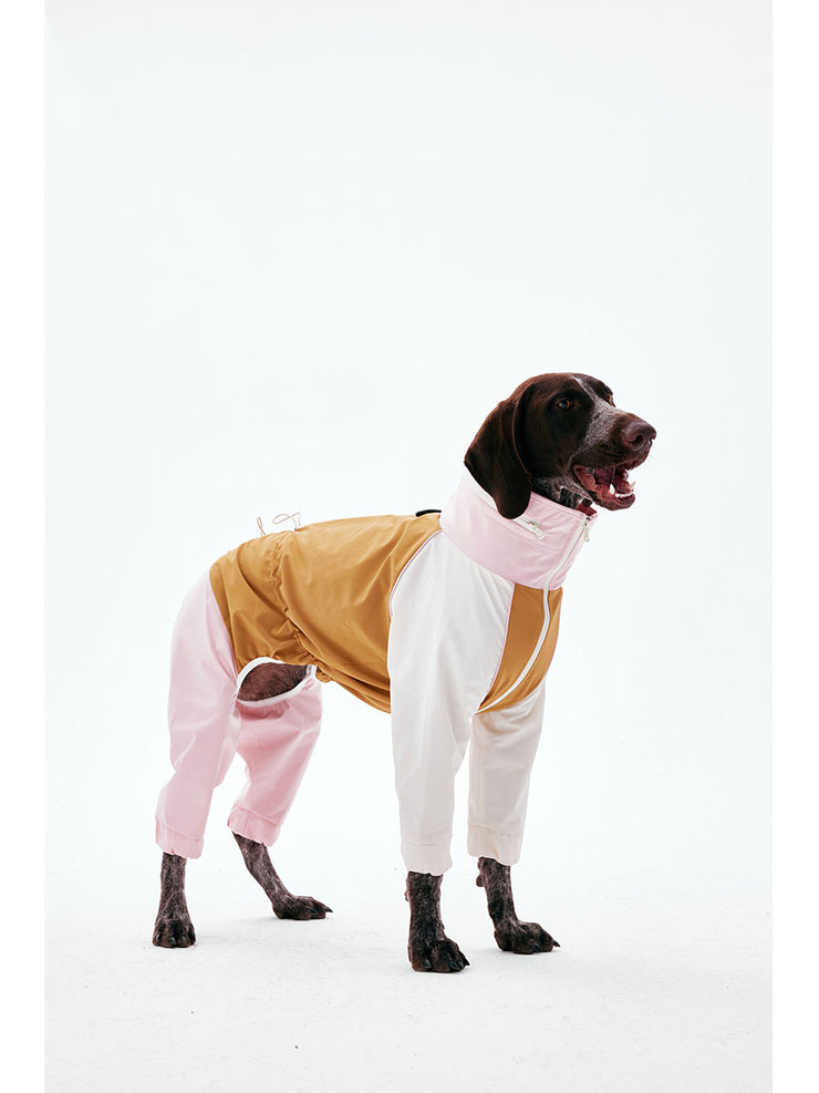 Dog Raincoats | KNOWZA