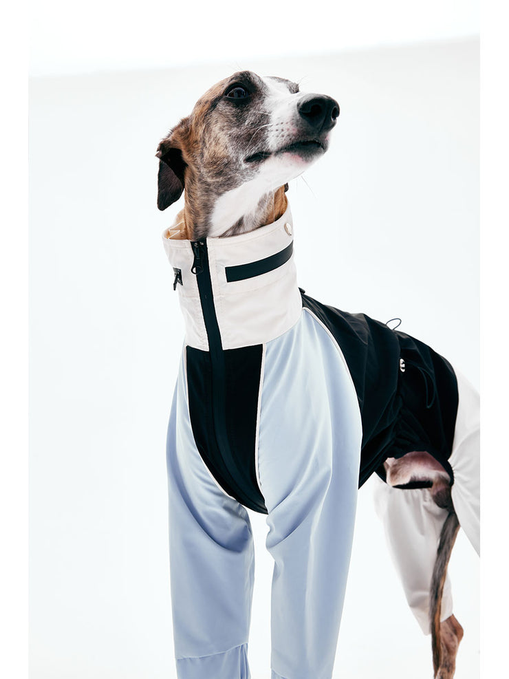 Dog Raincoats | KNOWZA