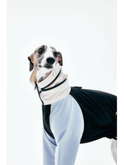 Dog Raincoats | KNOWZA