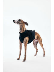 Dog Outdoor Vest - KNOWZA