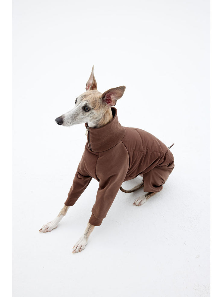 Whippet in a brown feathered jumpsuit