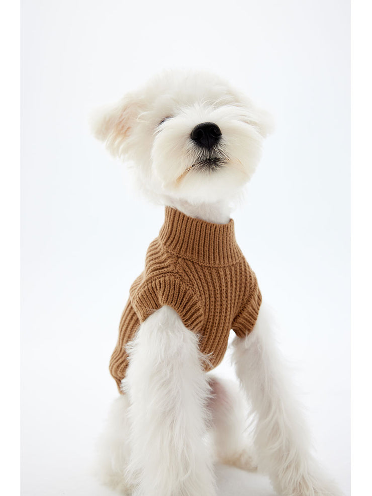 A white puppy wearing a very fancy sweater, very pretty