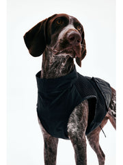 Dog Outdoor Vest - KNOWZA