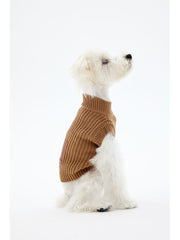 A white Bichon Frise wearing a very fancy sweater that looks great