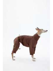 Sighthound in a brown down jacket