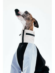 Dog Raincoats | KNOWZA