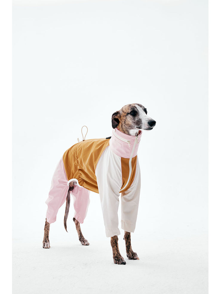 Dog Raincoats | KNOWZA