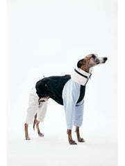 Dog Raincoats | KNOWZA