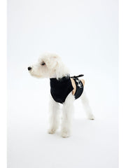 A white puppy wearing a wool coat, very classy