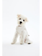 Puppy Winter Down Coat