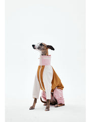 Dog Raincoats | KNOWZA