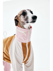 Dog Raincoats | KNOWZA