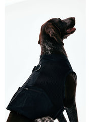 Dog Outdoor Vest - KNOWZA