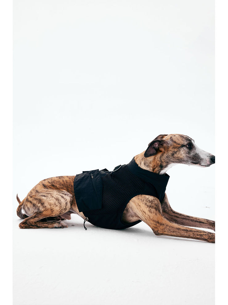 Dog Outdoor Vest - KNOWZA