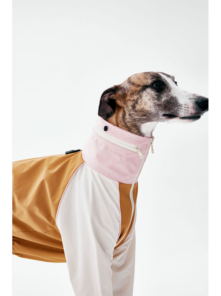 Dog Raincoats | KNOWZA