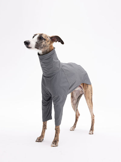 Best and Luxury Dog Clothing Brand | Dog Fashion - KNOWZA
