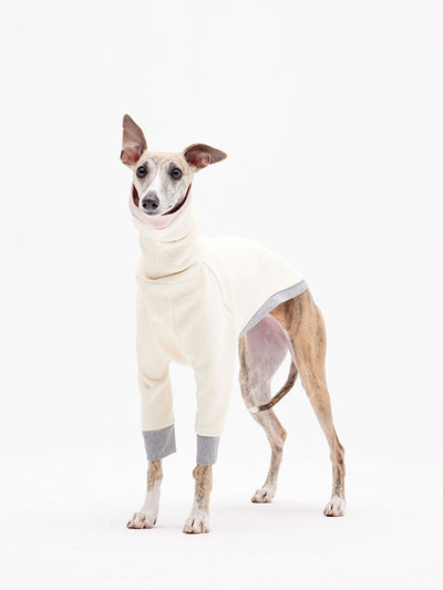 Best and Luxury Dog Clothing Brand | Dog Fashion - KNOWZA